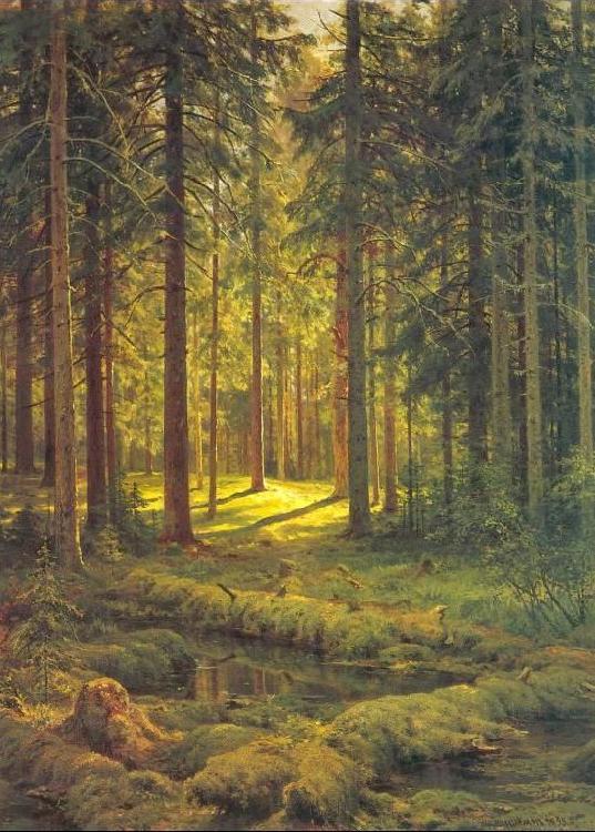 Ivan Shishkin Coniferous Forest, Sunny Day oil painting image